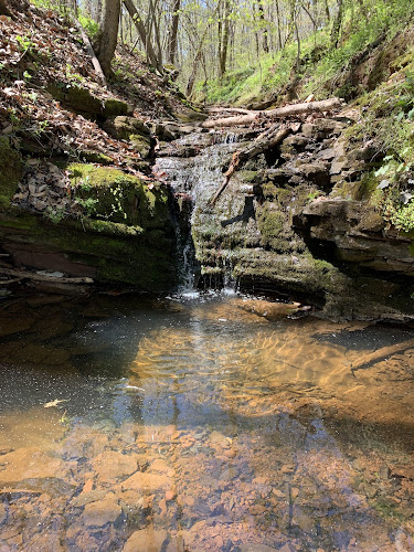 Ball’s Bluff Regional Park