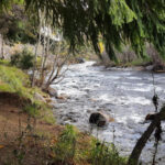 Balneario Tejas Verdes