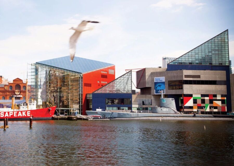 Baltimore National Aquarium