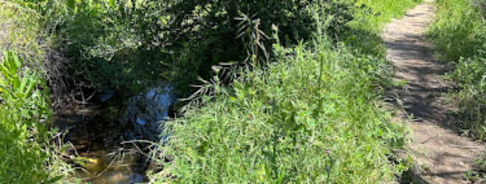Bancroft Creek Travel Forum Reviews