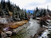 Guided introduction to climbing in Squamish or Whistler Review