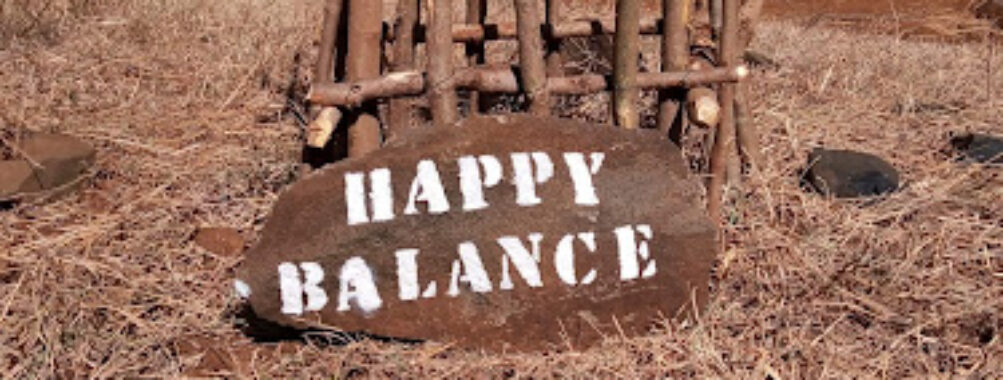 Baobab HAPPY BALANCE A.Suarezensis Travel Forum Reviews