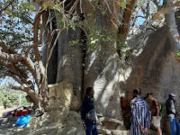 Baobab Sacré Travel Forum Reviews