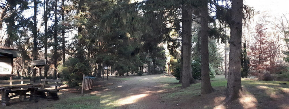 Baracsi úti Arborétum Travel Forum Reviews