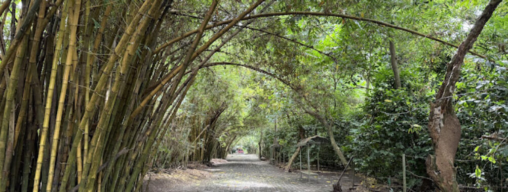 Baras Bird Sanctuary Travel Forum Reviews