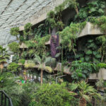 Barbican Conservatory
