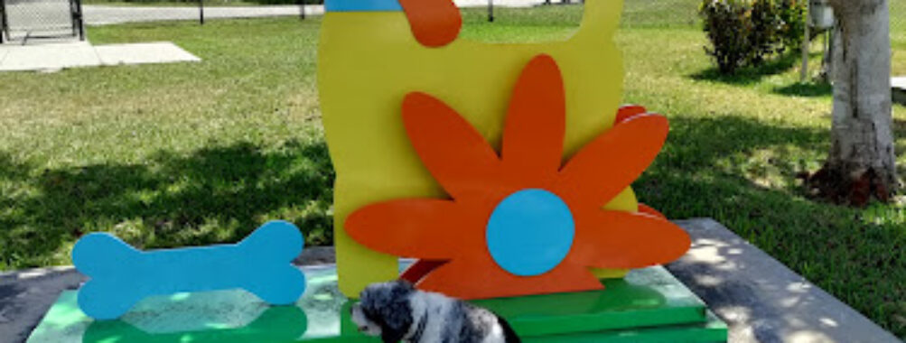 Bark Park Travel Forum Reviews