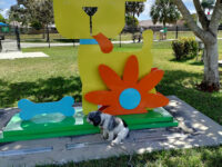 Bark Park Travel Forum Reviews