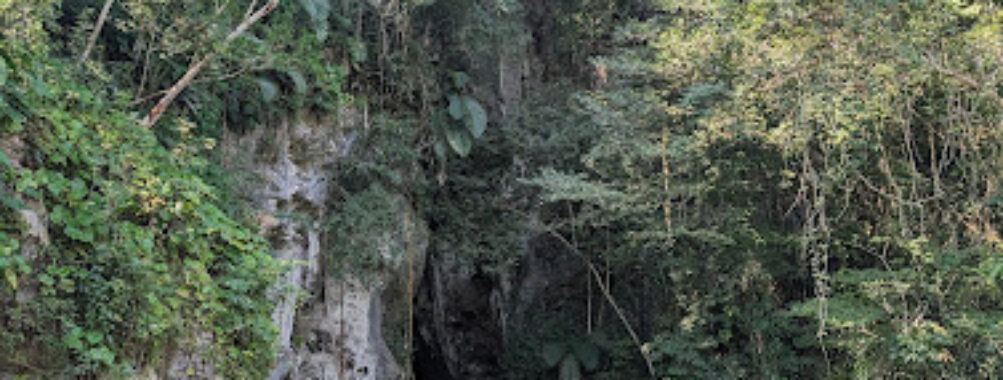 Barton Creek Cave Reserve Travel Forum Reviews