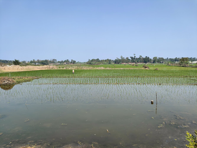 Baruipur Birding Place
