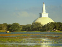 Basawakkulama Tank Travel Forum Reviews