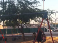 Baseball field Travel Forum Reviews