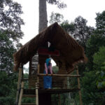 Batam Forest Top
