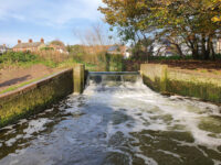 Batford Springs Nature Reserve Travel Forum Reviews