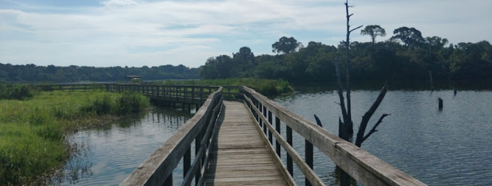 Bay Area Park Travel Forum Reviews
