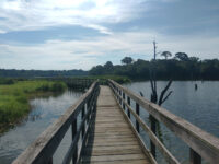 Bay Area Park Travel Forum Reviews