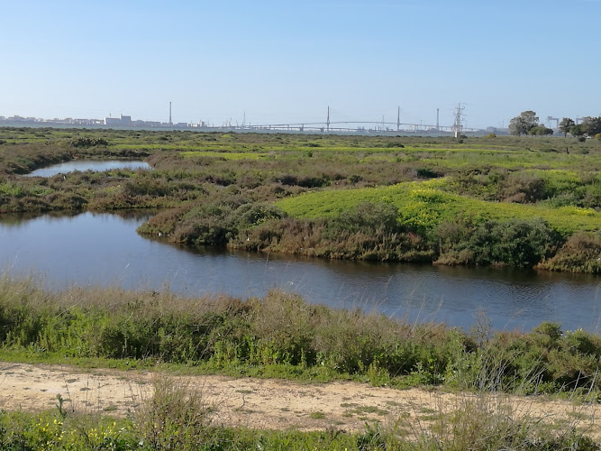 Bay of Cádiz Natural Park