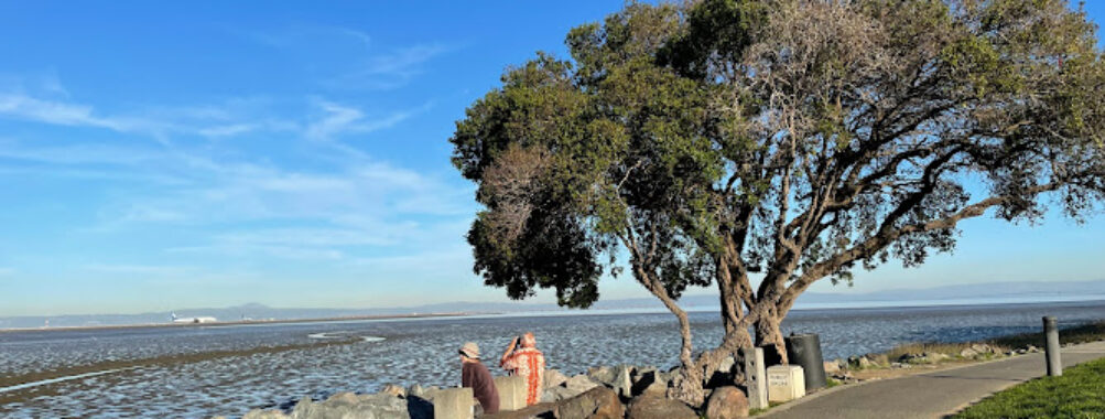 Bayfront Park Travel Forum Reviews