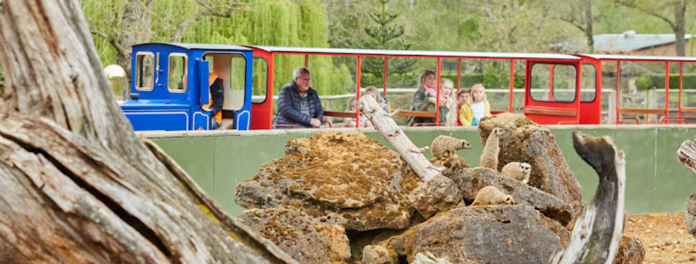Beale Wildlife Park Travel Forum Reviews