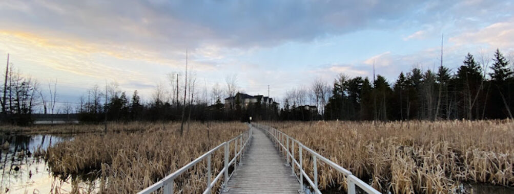 Bear Creek Eco Park Travel Forum Reviews
