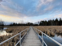 Bear Creek Eco Park Travel Forum Reviews