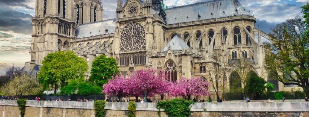 Beautiful shot of the Notre-Dame Cathedral in Paris France