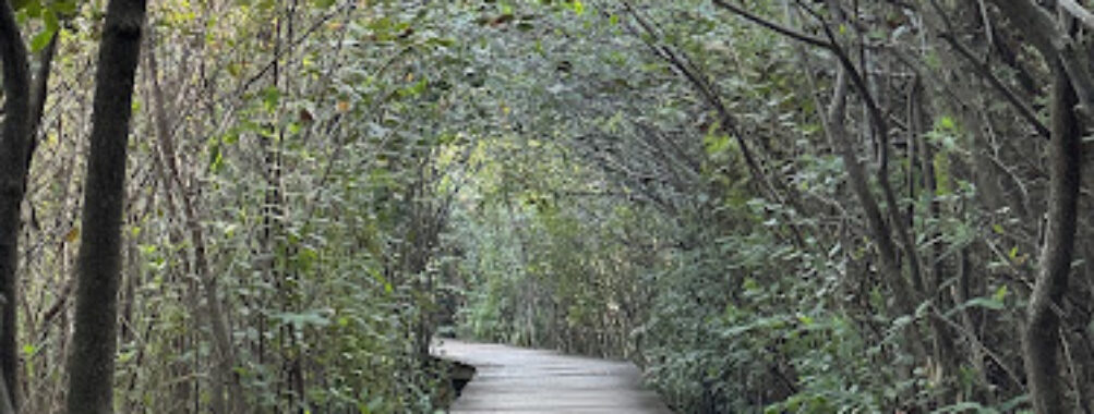Beddagana Wetland Park Travel Forum Reviews