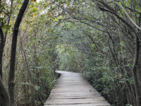 Beddagana Wetland Park Travel Forum Reviews