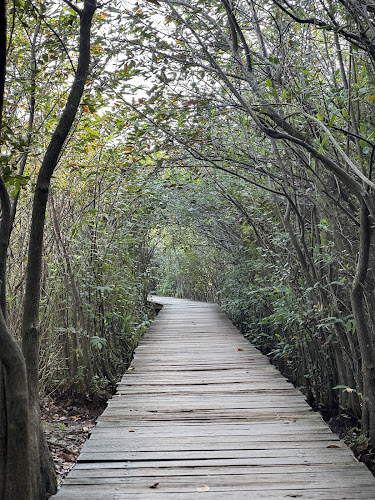 Beddagana Wetland Park