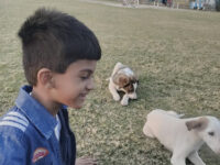 Behrain Golden City Park Mirpurkhas Travel Forum Reviews