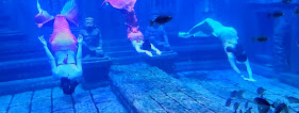Beihai Underwater World Travel Forum Reviews