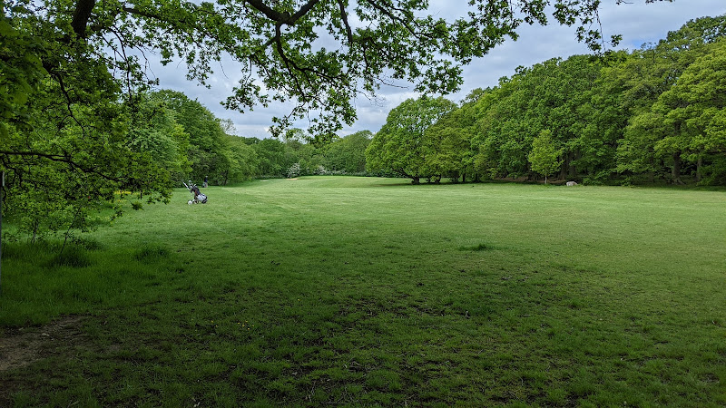 Belfairs Park Wood