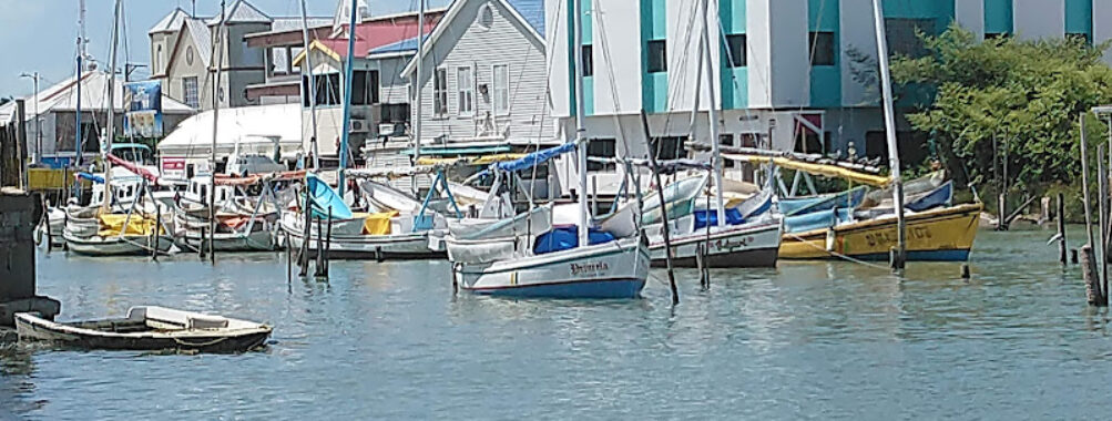 Belize City Travel Forum Reviews