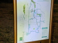 Bella Vista Lake Trail parking lot Travel Forum Reviews