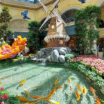 Bellagio Conservatory & Botanical Gardens