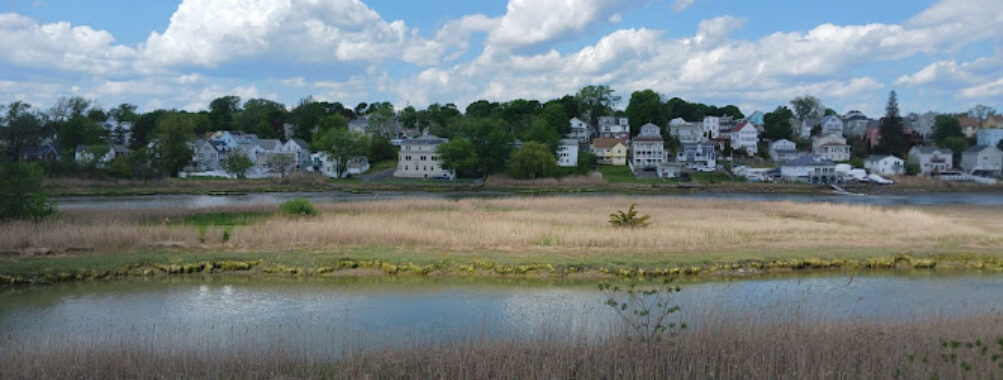 Belle Isle Marsh Reservation Travel Forum Reviews