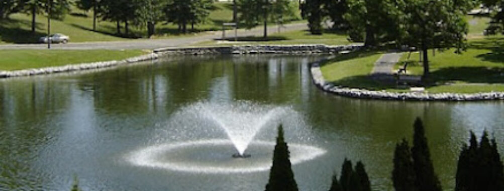 Bellevue Park Travel Forum Reviews