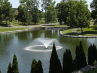 Bellevue Park Travel Forum Reviews