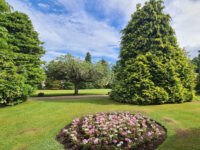 Bellfield Park Travel Forum Reviews