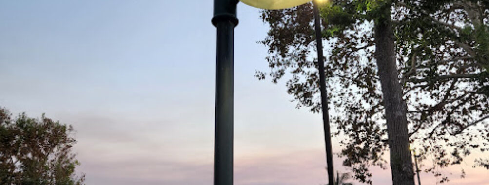Bellflower Bike Trail (between Alondra and Belflower Blvd)) Travel Forum Reviews