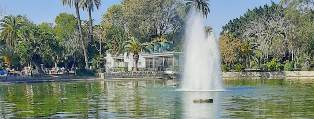 Belvedere Park Travel Forum Reviews