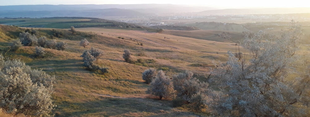 Belvedere Vaslui Travel Forum Reviews