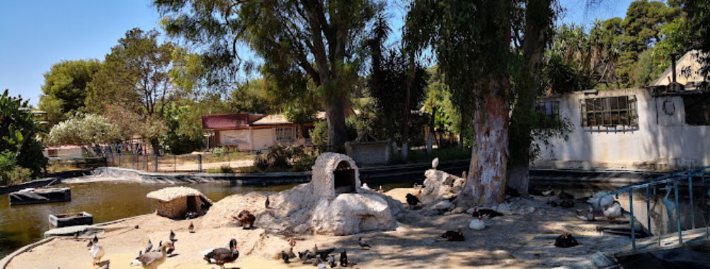 Ben Aknoun National Park Travel Forum Reviews