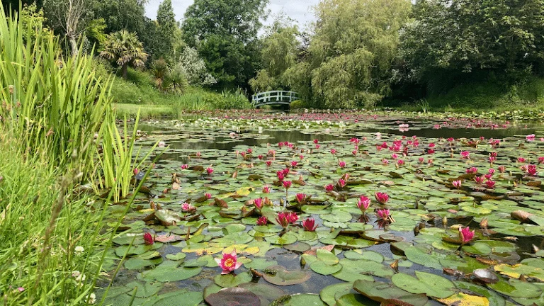 Bennetts Water Gardens