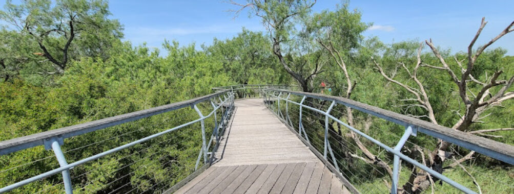 Bentsen-Rio Grande Valley State Park Travel Forum Reviews