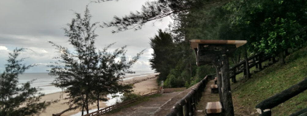 Berakas Forest Reserve Recreational Park Travel Forum Reviews