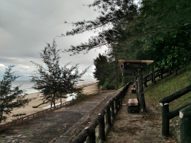 Berakas Forest Reserve Recreational Park