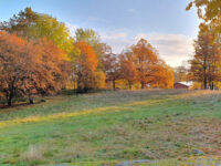 Berga minnespark Travel Forum Reviews