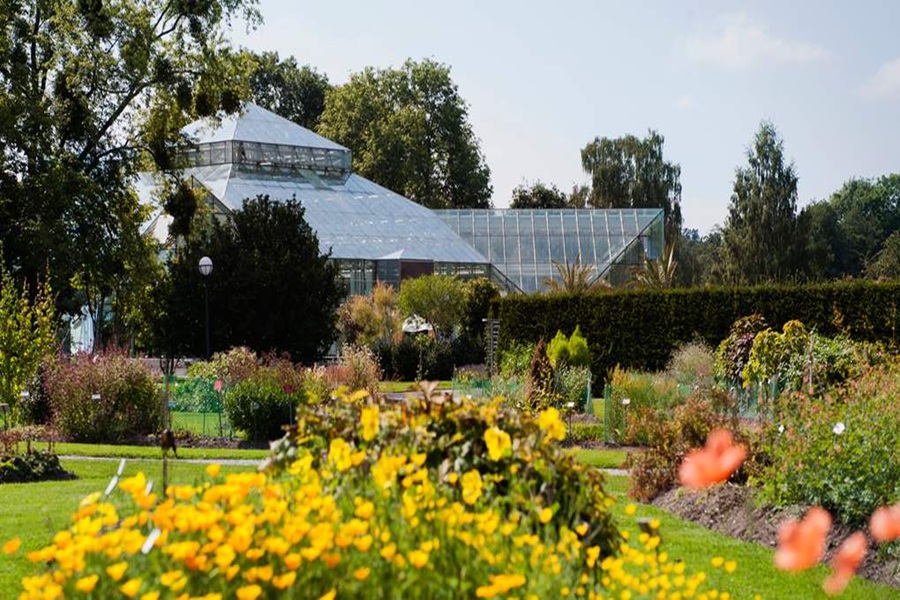 Bergius Botanic Garden