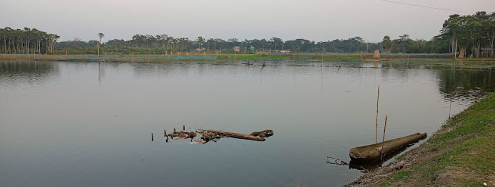 Beri Baor Travel Forum Reviews